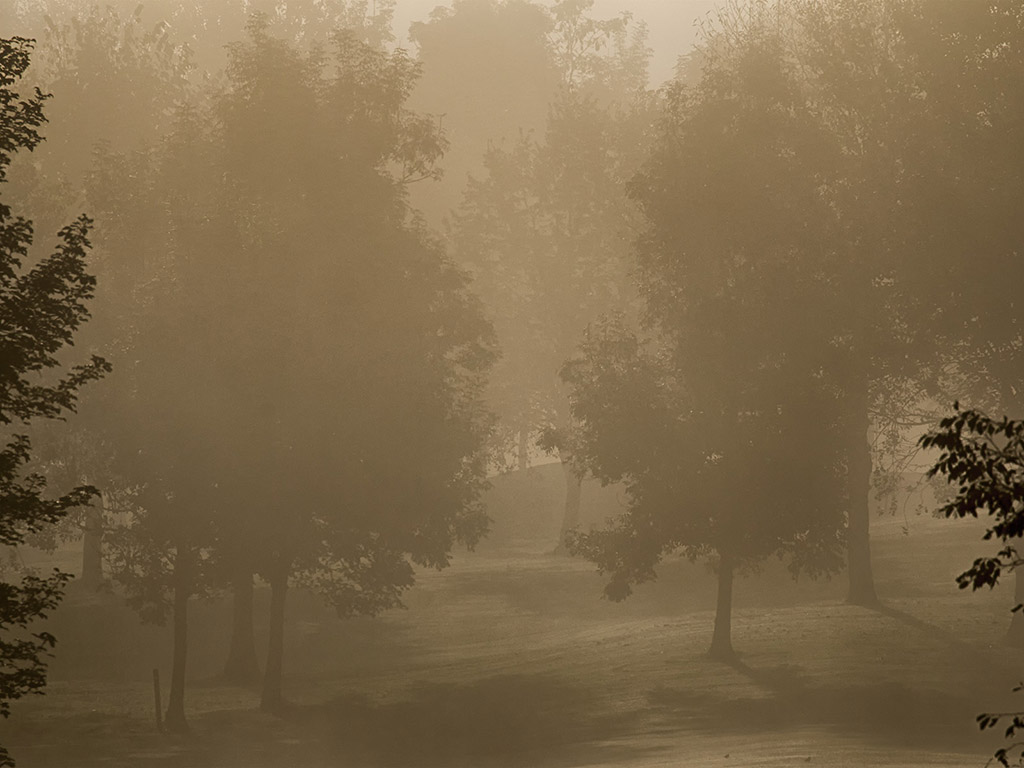 Natur - Nebel