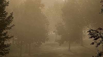 Nebel, Baum, grau