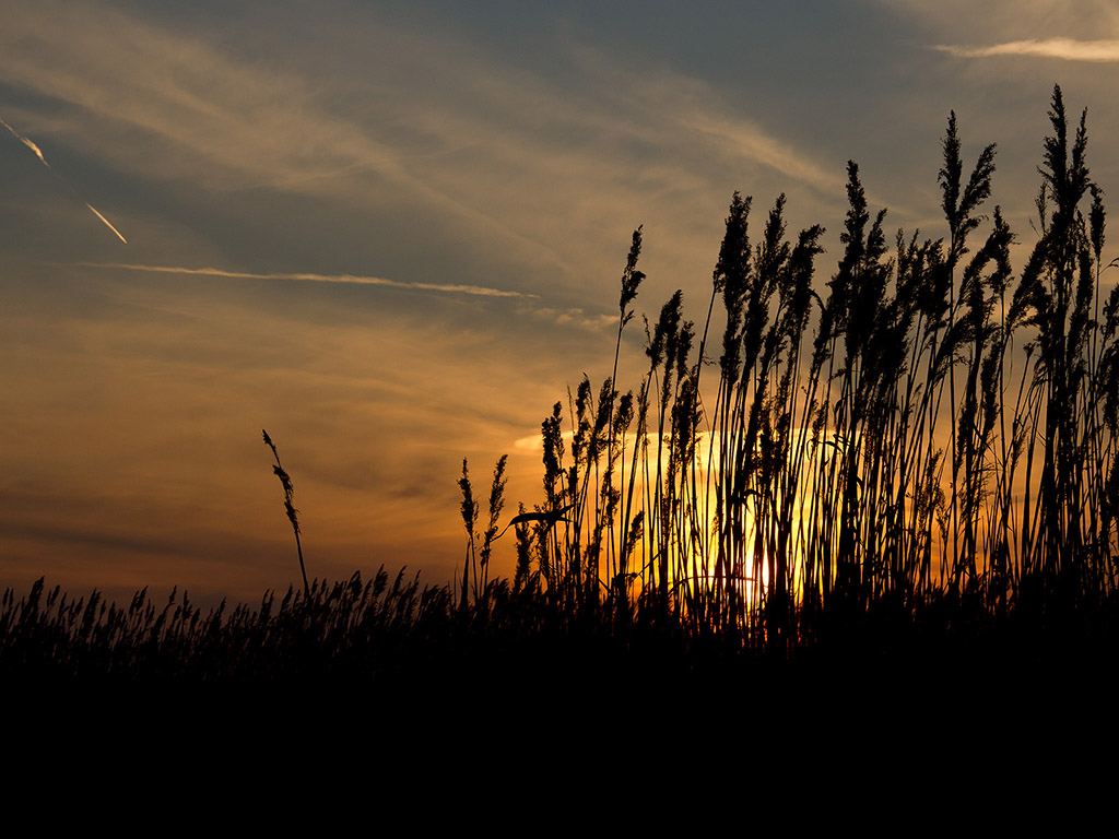 Sonnenuntergang #904