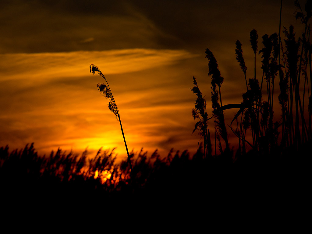 Sonnenuntergang