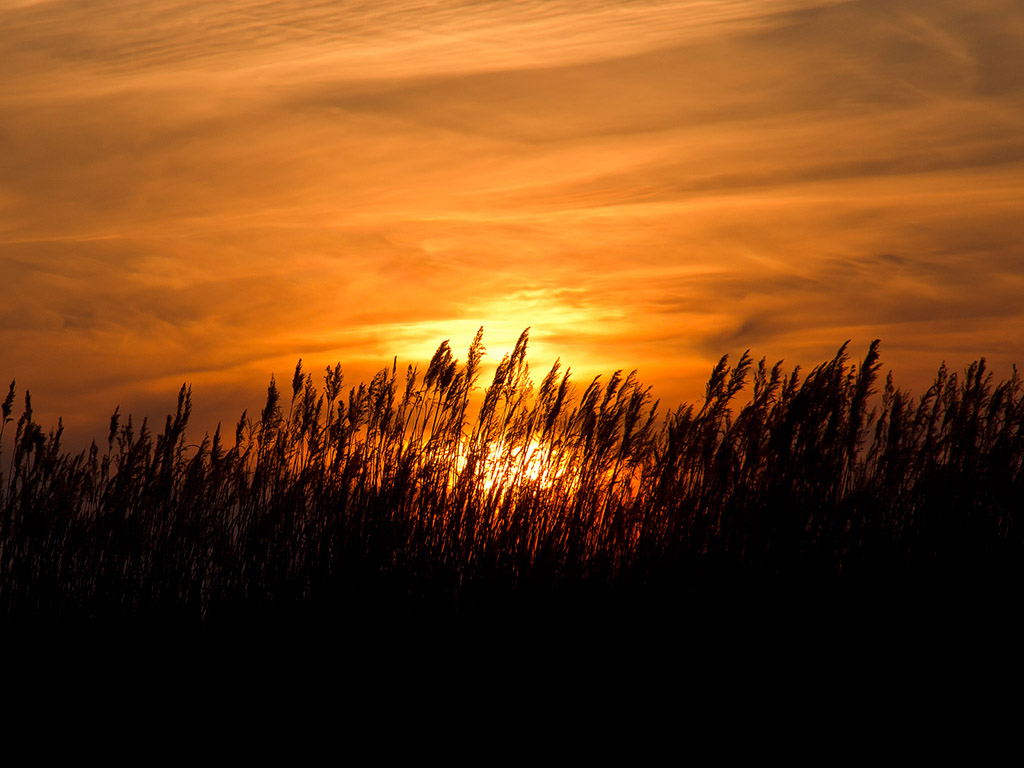 Sonnenuntergang