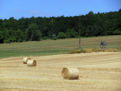 Strohballen