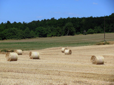 Strohballen