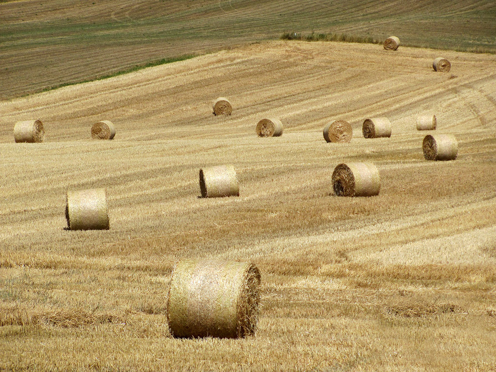 Strohballen - Sommer - Kostenloses Hintergrundbild