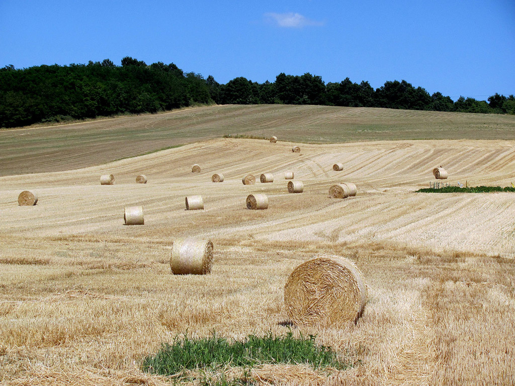 Strohballen - Sommer - Kostenloses Hintergrundbild