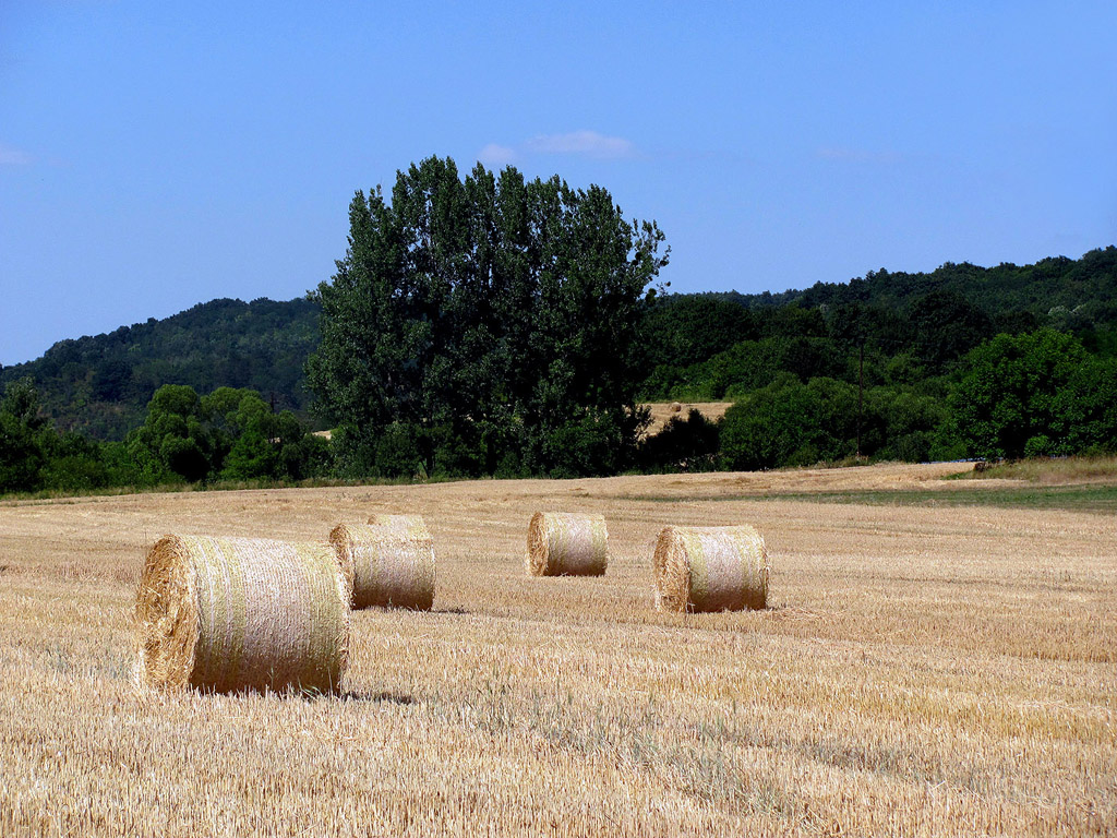 Strohballen - Sommer - Kostenloses Hintergrundbild