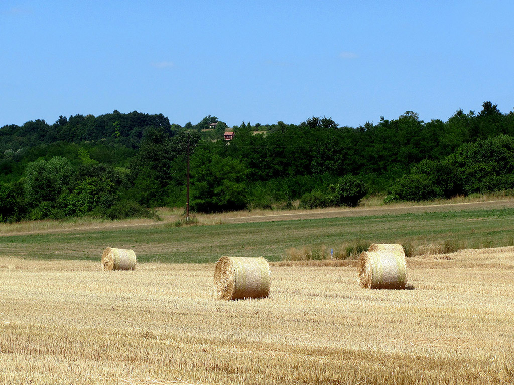 Strohballen - Sommer - Kostenloses Hintergrundbild