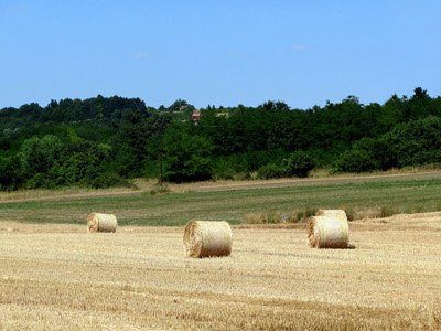 Strohballen