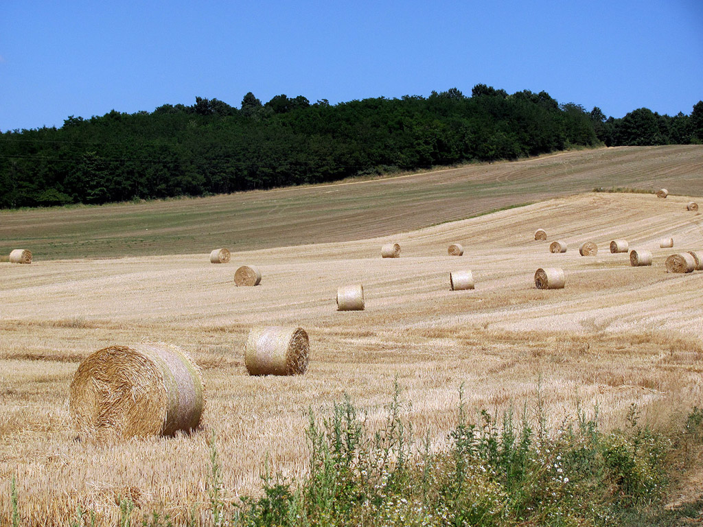 Strohballen - Sommer - Kostenloses Hintergrundbild