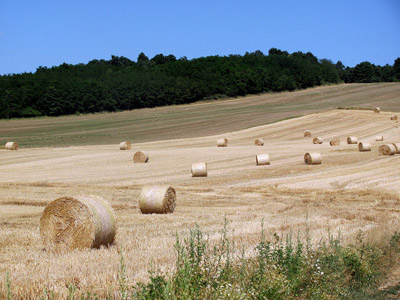 Strohballen