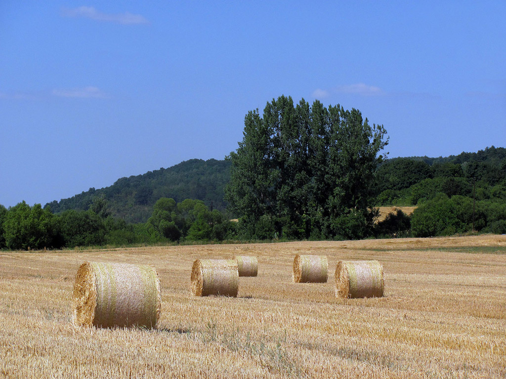 Strohballen - Sommer - Kostenloses Hintergrundbild