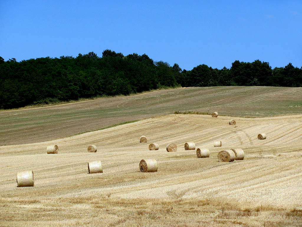 Strohballen - Sommer - Kostenloses Hintergrundbild