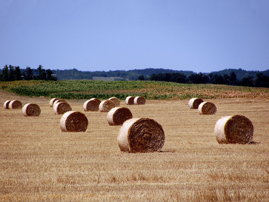 Strohballen - Sommer - Kostenloses Hintergrundbild