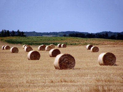 Strohballen