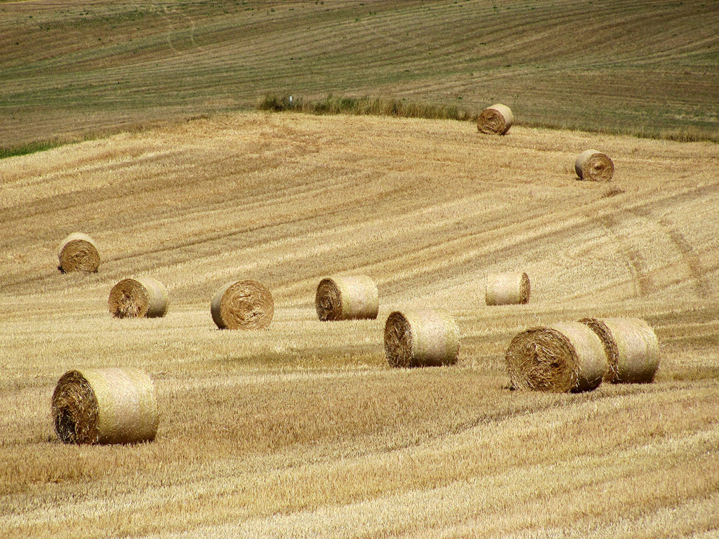 Strohballen - Sommer - Kostenloses Hintergrundbild