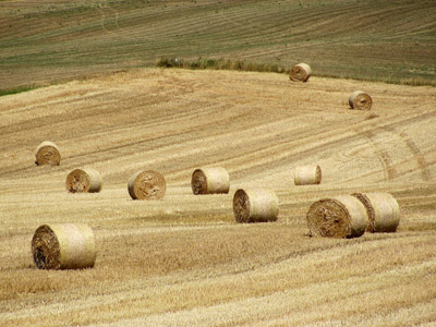 Strohballen