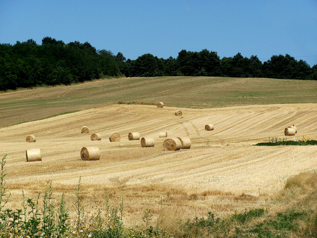 Strohballen - Sommer - Kostenloses Hintergrundbild