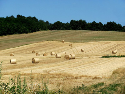 Strohballen