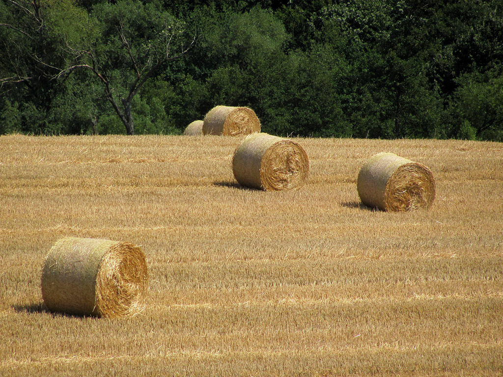 Strohballen - Sommer - Kostenloses Hintergrundbild