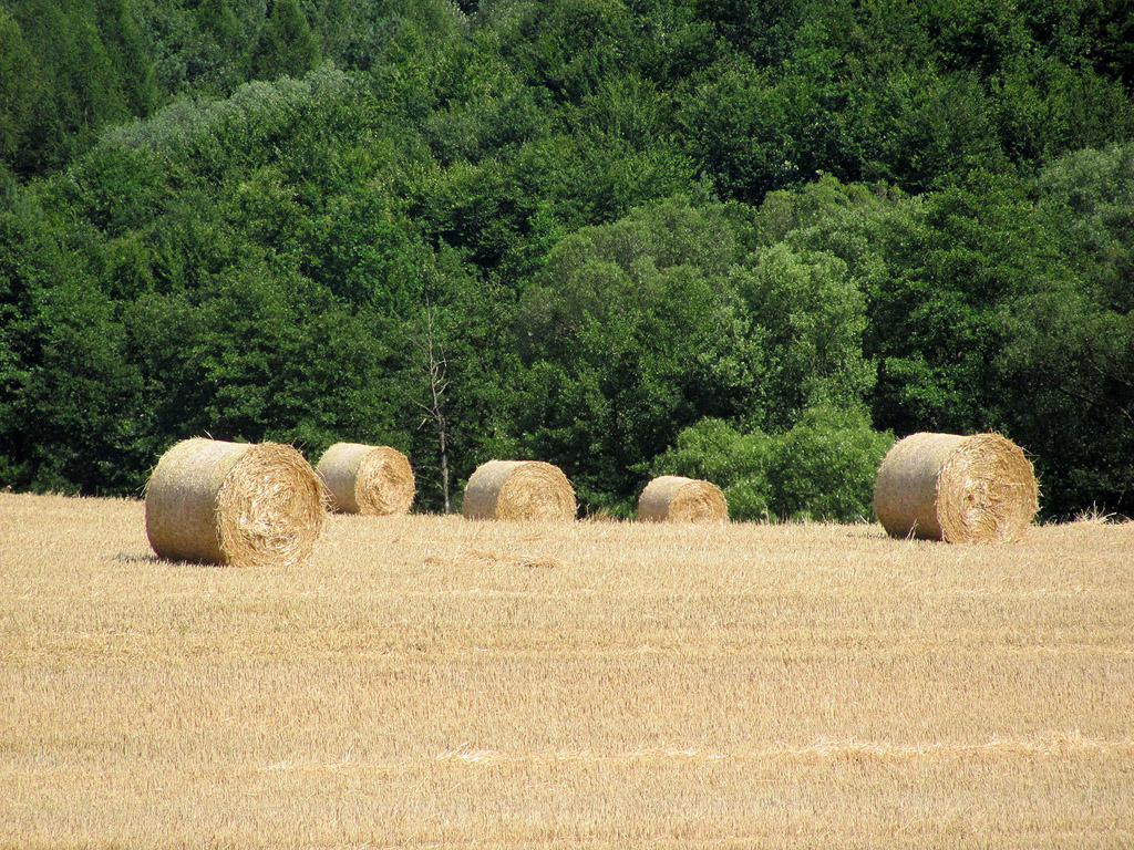 Strohballen - Sommer - Kostenloses Hintergrundbild