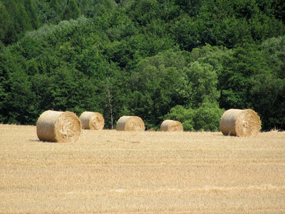 Strohballen