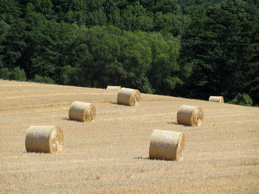 Strohballen - Sommer - Kostenloses Hintergrundbild