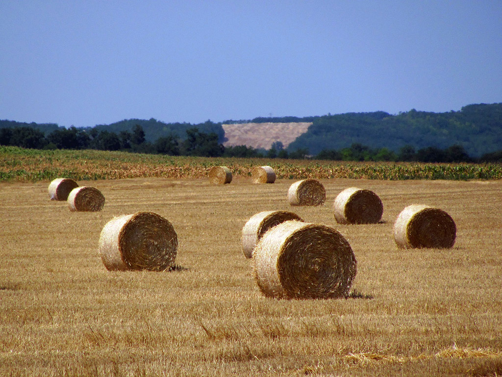 Strohballen - Sommer - Kostenloses Hintergrundbild