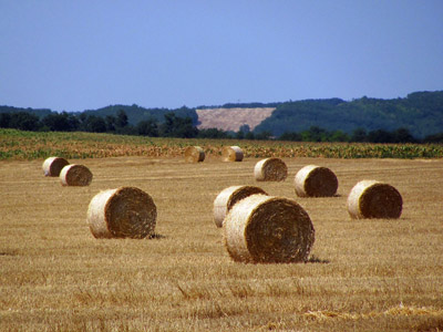 Strohballen