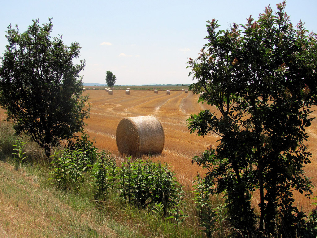 Strohballen - Sommer - Kostenloses Hintergrundbild