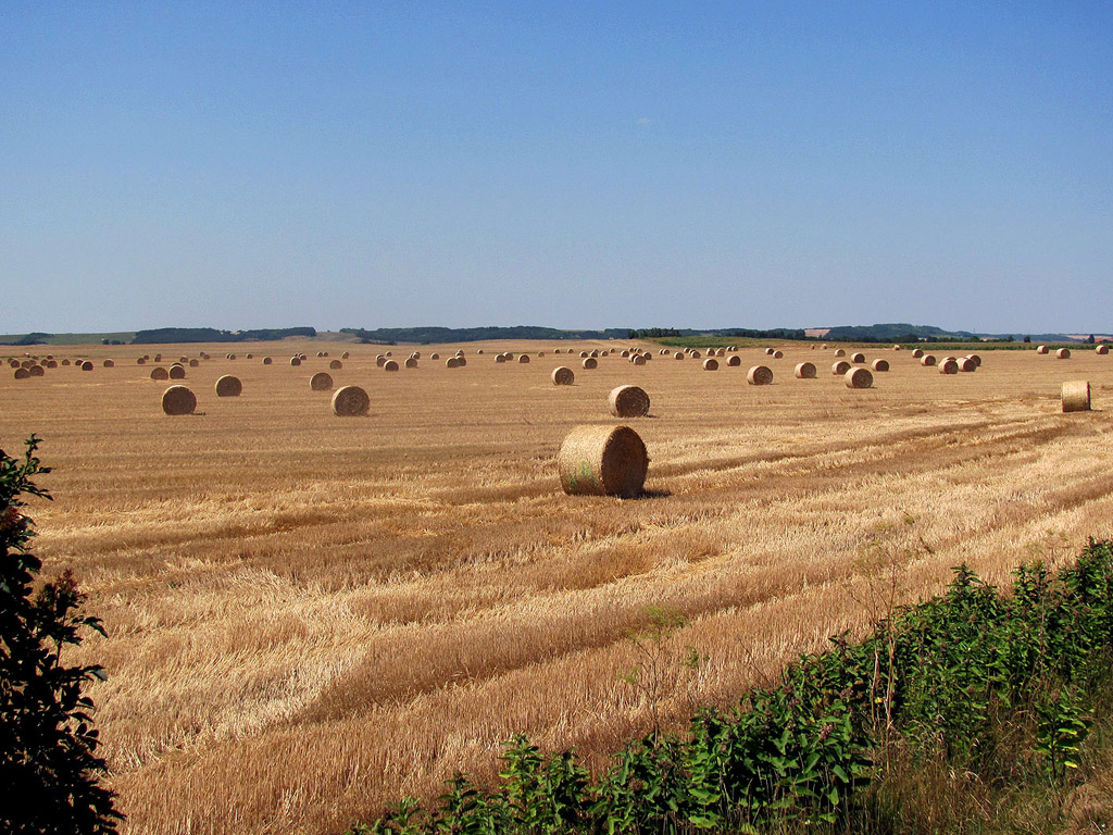 Strohballen - Sommer - Kostenloses Hintergrundbild