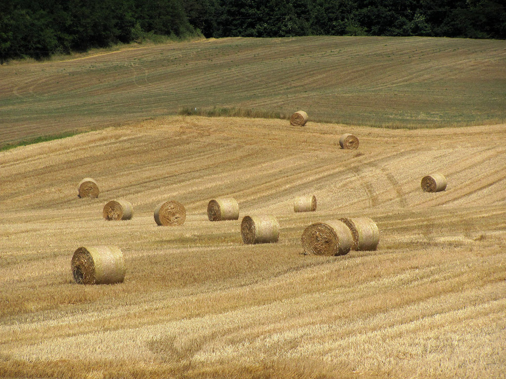 Strohballen - Sommer - Kostenloses Hintergrundbild