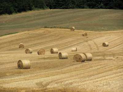 Strohballen