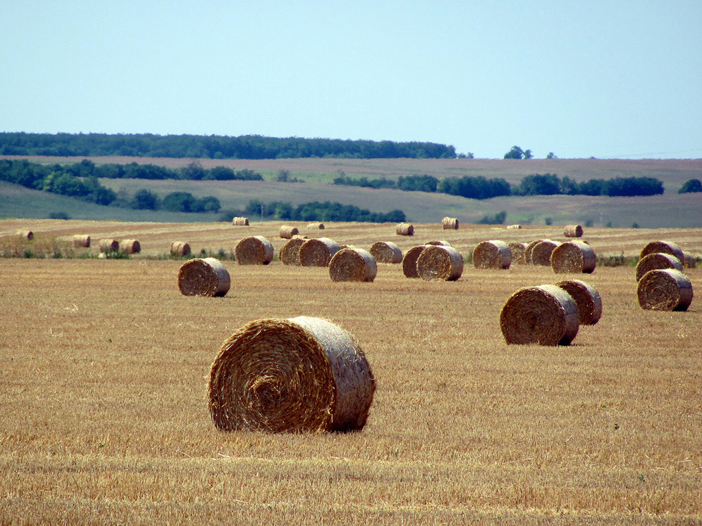 Strohballen - Sommer - Kostenloses Hintergrundbild