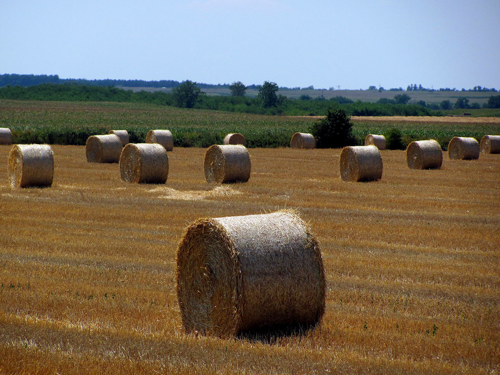 Strohballen - Sommer - Kostenloses Hintergrundbild