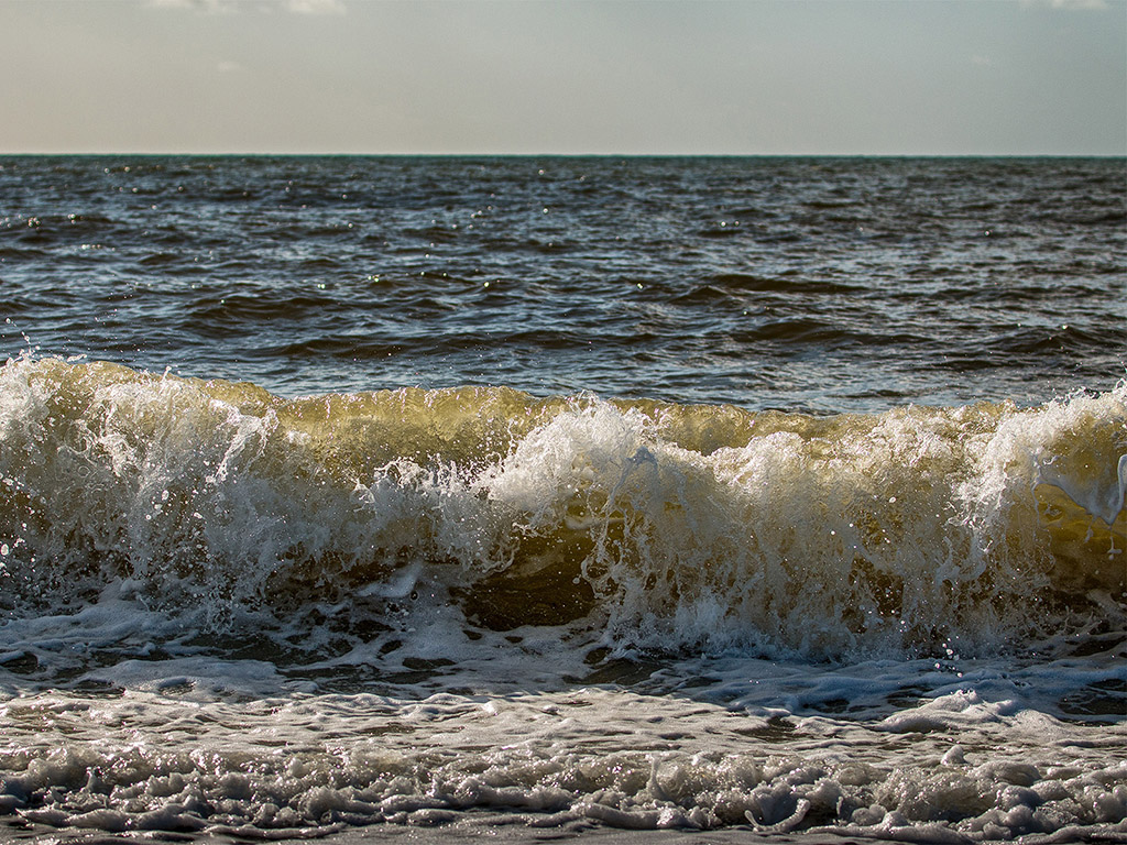 Welle, Wasser, See, Natur