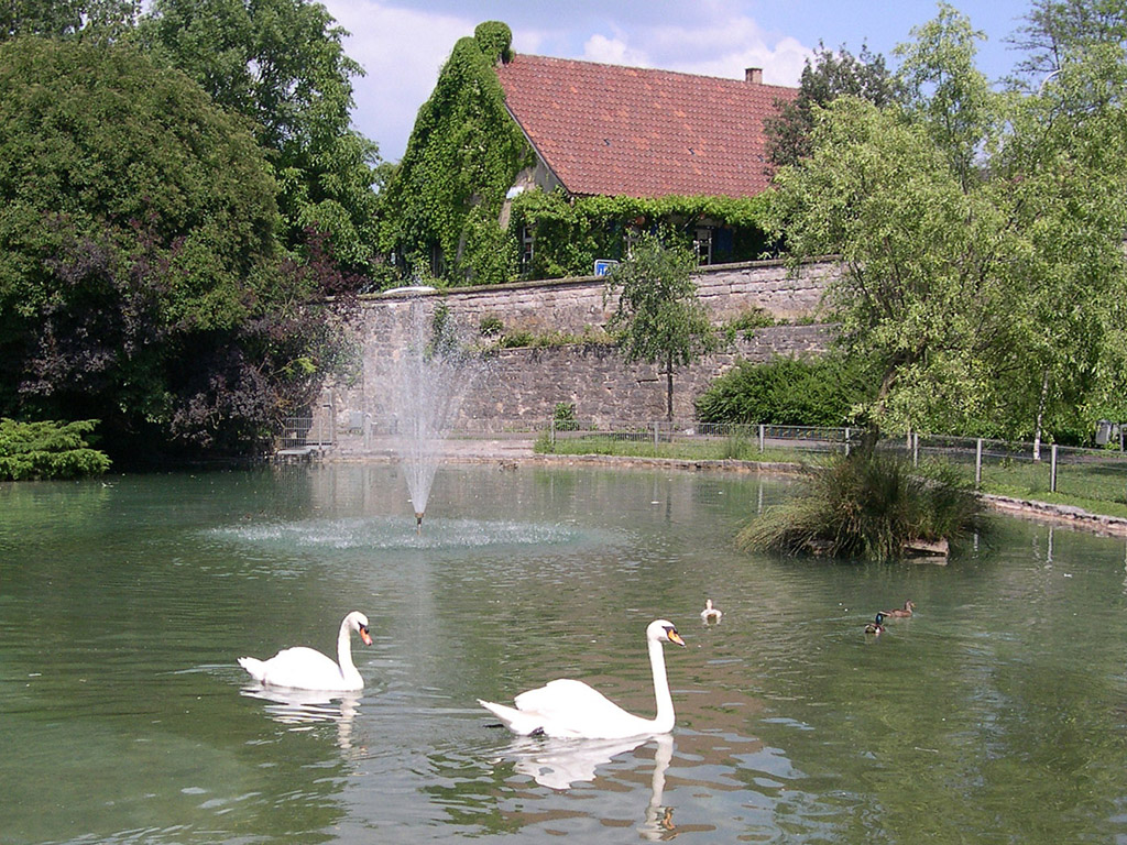 Bad Wimpfen, Baden-Württemberg - Kostenloses Hintergrundbild