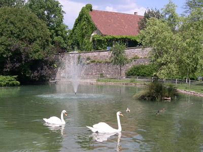 Bad Wimpfen