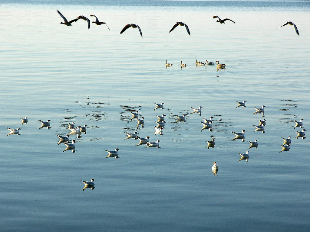 Chiemsee - das bayerische Meer - Kostenloses Hintergrundbild