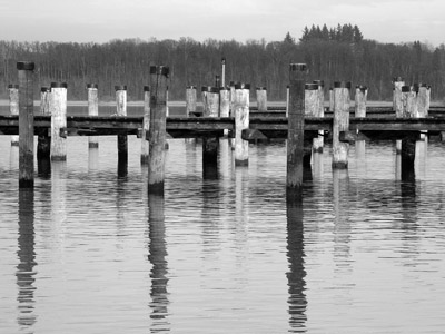 Der Chiemsee - schwarz-weiss