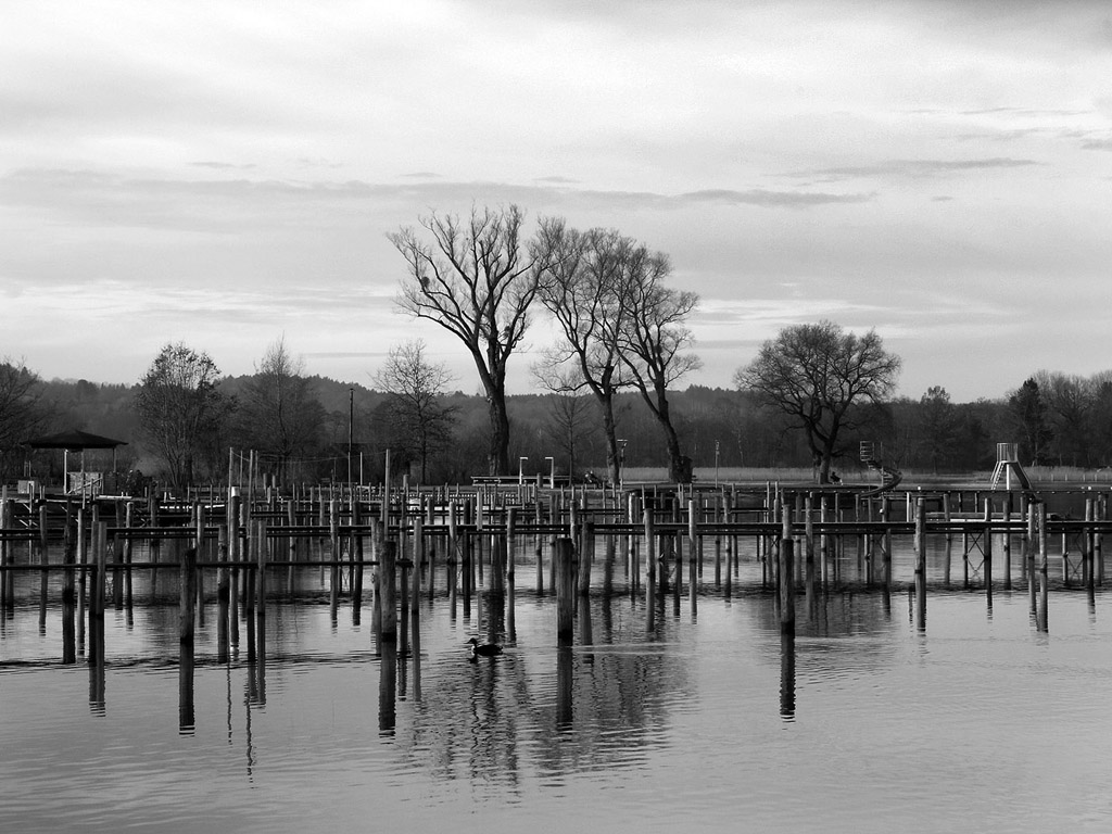 Chiemsee, Deutschland - 01-01-2013 - das bayerische Meer - Kostenloses Hintergrundbild / schwarz-weiss