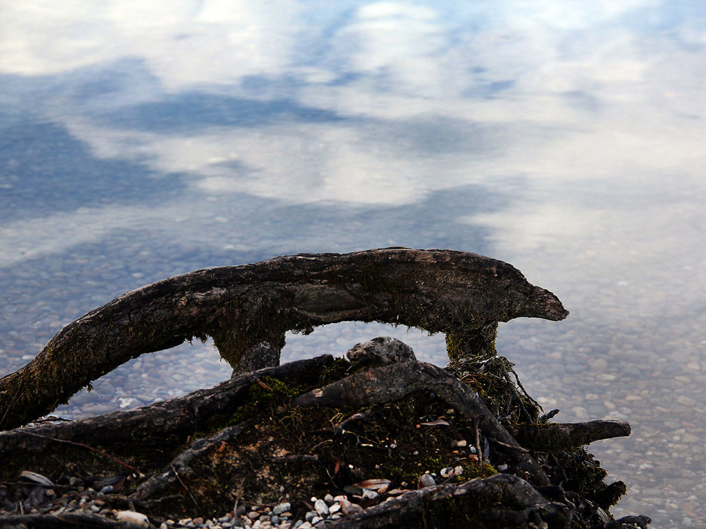 Chiemsee, Deutschland - 01-01-2013 - das bayerische Meer - Kostenloses Hintergrundbild / Wurzel