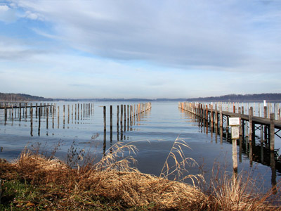 Der Chiemsee - Pfähle im Wasser