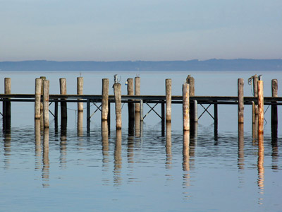 Der Chiemsee - Pfähle im Wasser