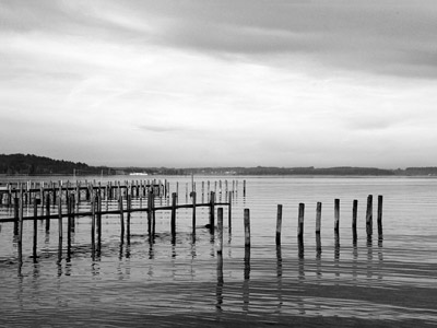 Der Chiemsee - Pfähle im Wasser, schwarz-weiss