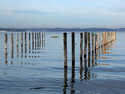 Der Chiemsee - Pfähle im Wasser