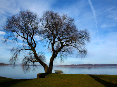Der Chiemsee - Winterbaum ohne Blätter, Sitzbank, See, Wasser