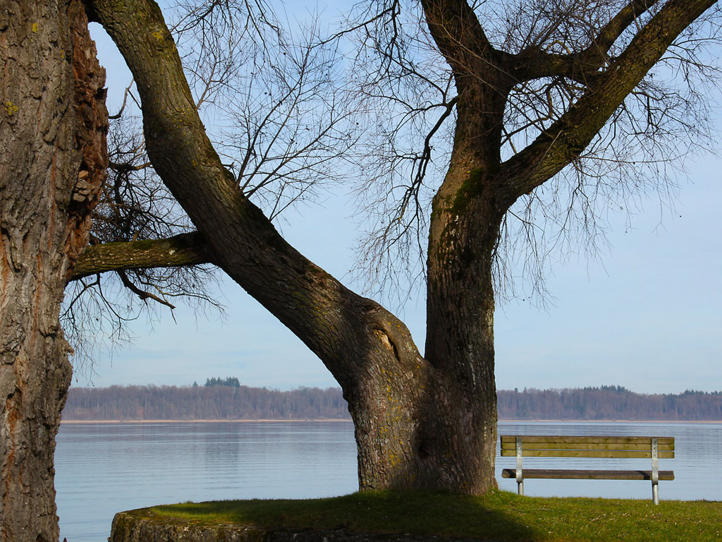 Chiemsee, Deutschland - 01-01-2013 - das bayerische Meer - Kostenloses Hintergrundbild / Winterbäume und Sitzbank neben dem Wasser