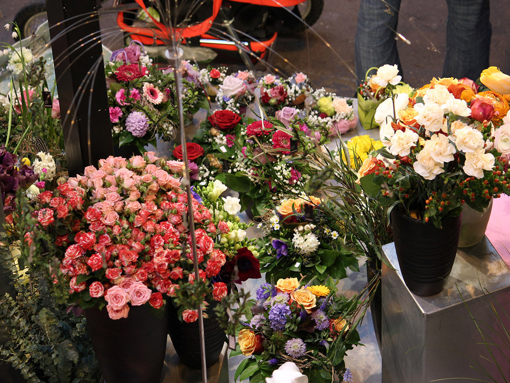 Blumen | Stuttgart, Markthalle - Kostenloses Hintergrundbild