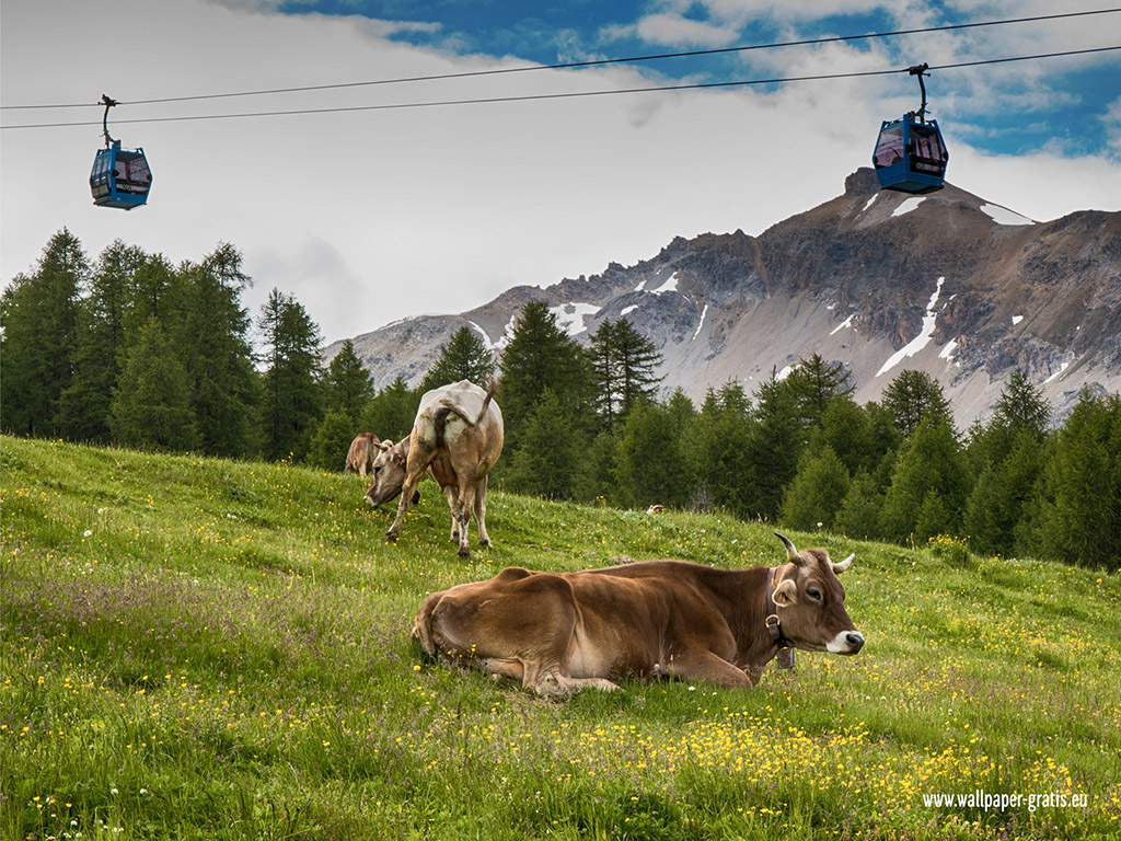 Livigno (Luwin)