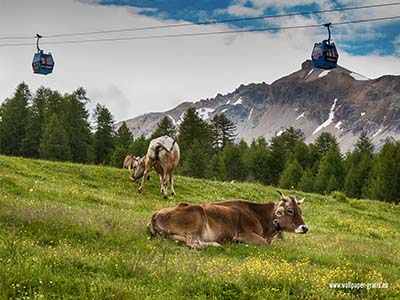 Livigno - die Alpen